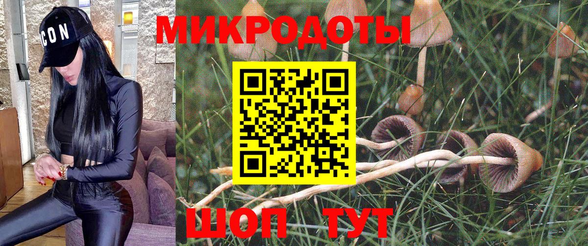 Псилоцибиновые грибы мухоморы Туапсе