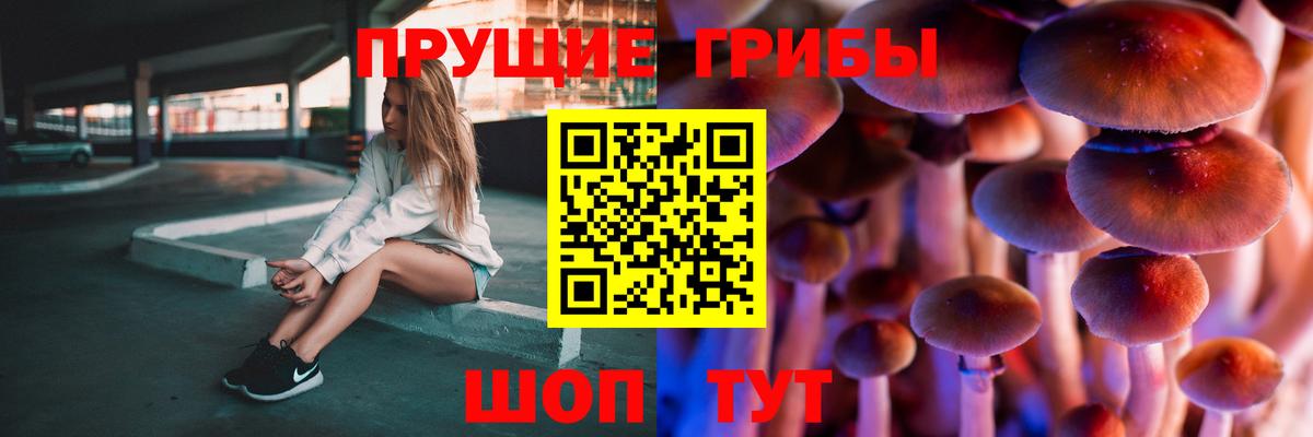 где купить наркоту  Галлюциногенные грибы Magic Shrooms  Вход с VPN  Псилоцибиновые грибы мухоморы  Туапсе 